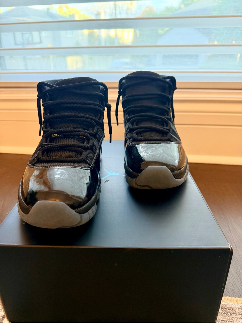 Jordan 11 gamma 2025 (size 12 men’s)